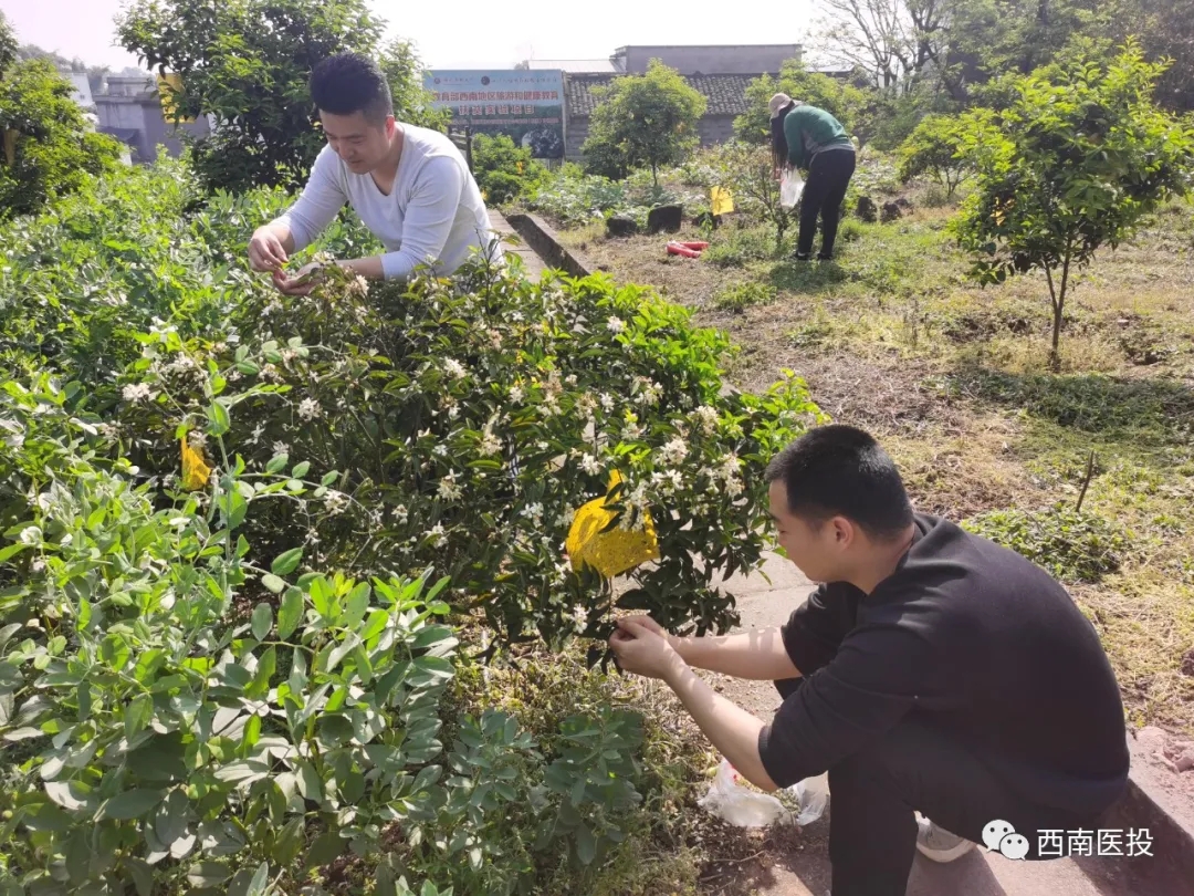 天植中藥公司黨支部開展黨史學習教育